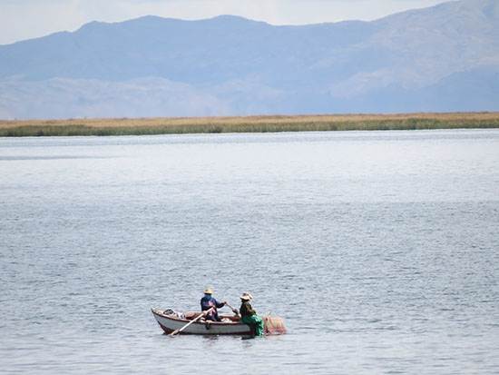 puno copa 1